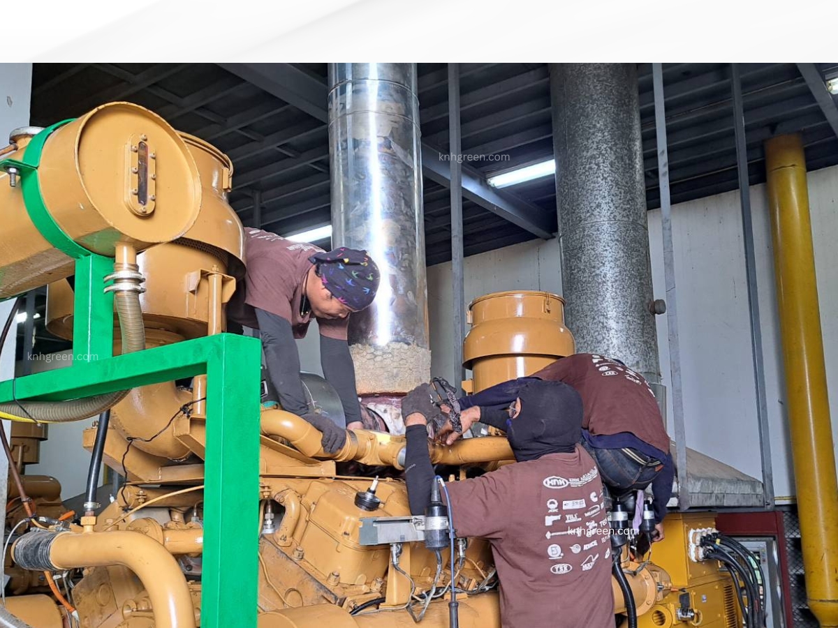 Biogas Power Generation Project (7)